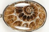 Fossil Ammonite Pendant - Million Years Old #205780-1